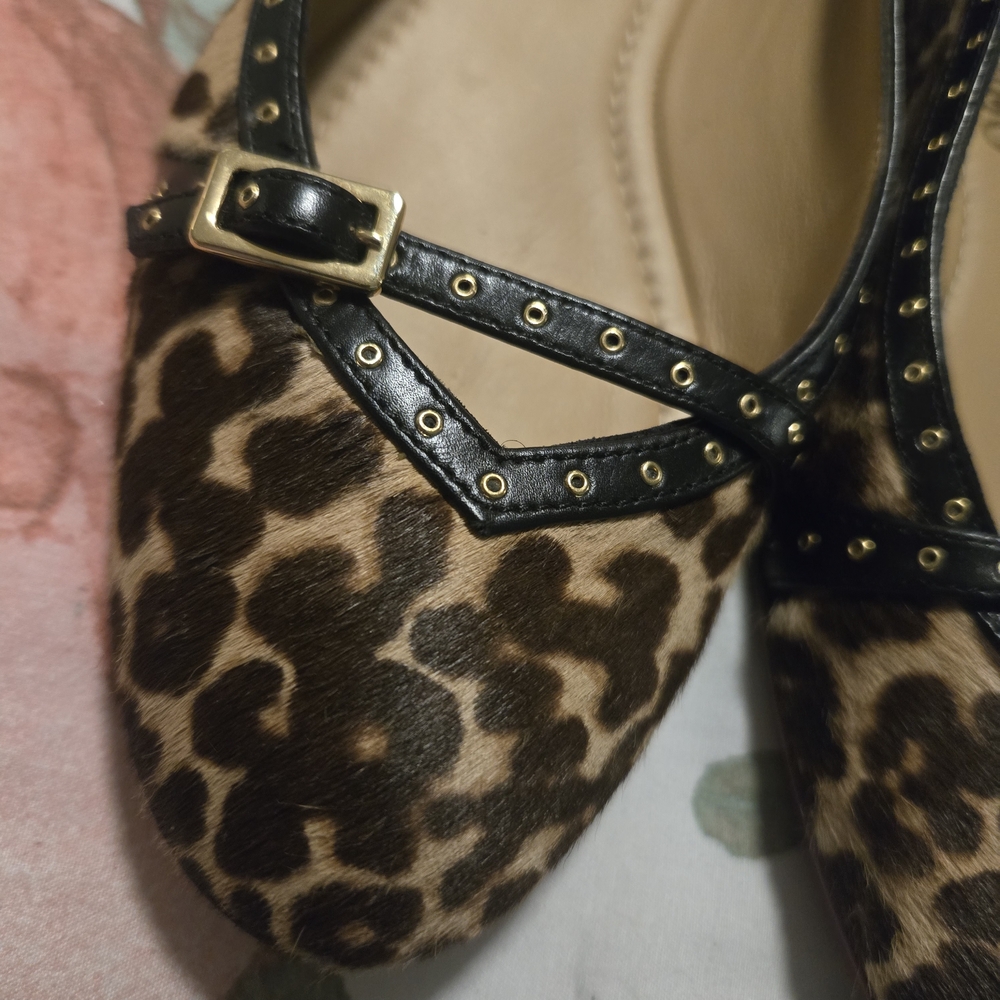 Salvatore Ferragamo Leopard Print Women's Flats - Picture 15 of 16